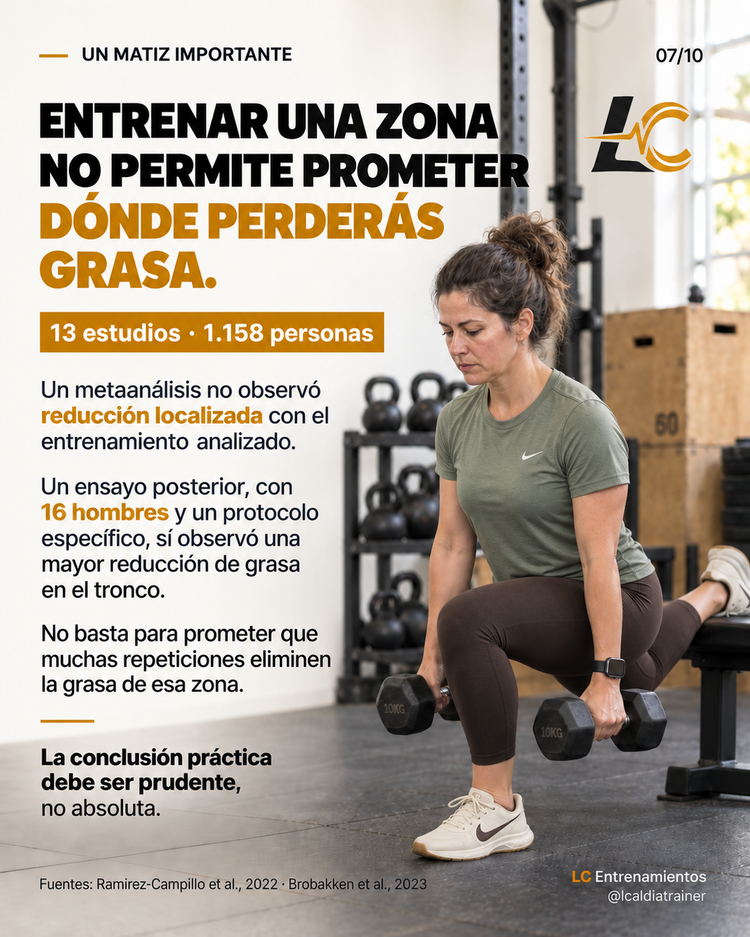 Diapositiva 7 de 10: Grasa localizada.